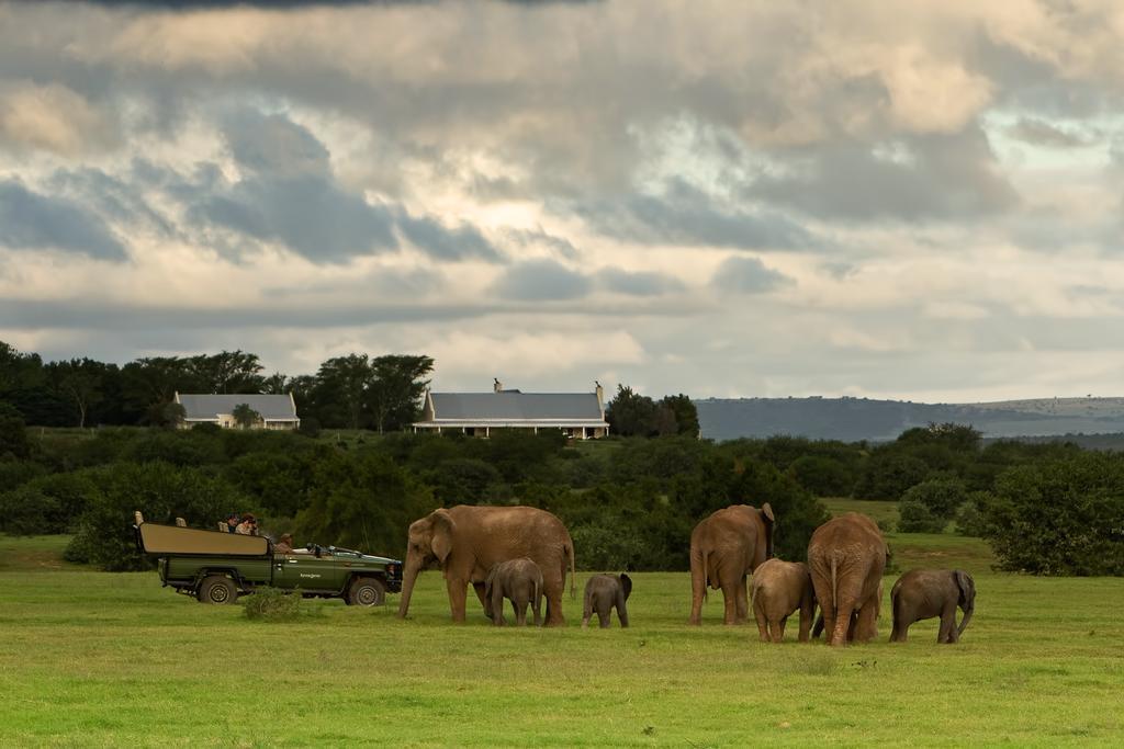 Riverbend Lodge Addo Exterior photo