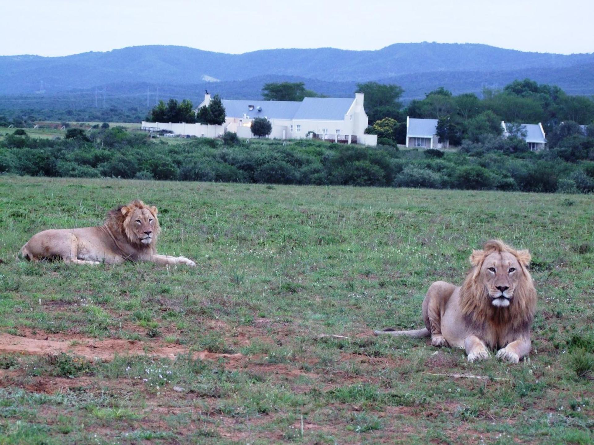 Riverbend Lodge Addo Exterior photo