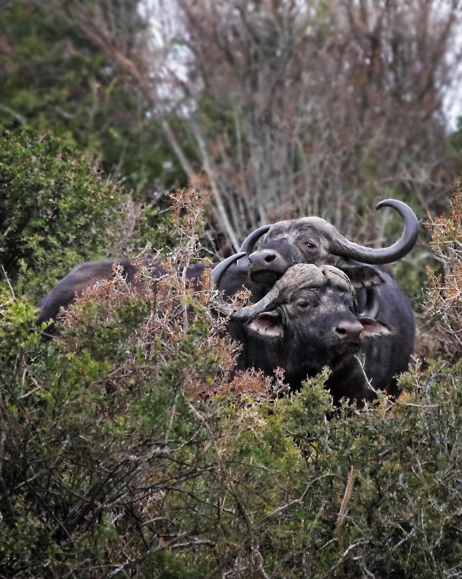 Riverbend Lodge Addo Exterior photo