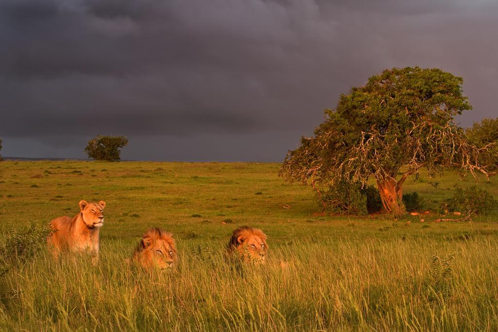Riverbend Lodge Addo Exterior photo