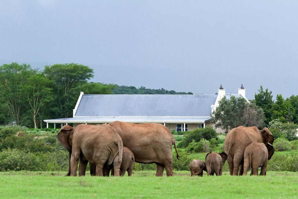Riverbend Lodge Addo Exterior photo