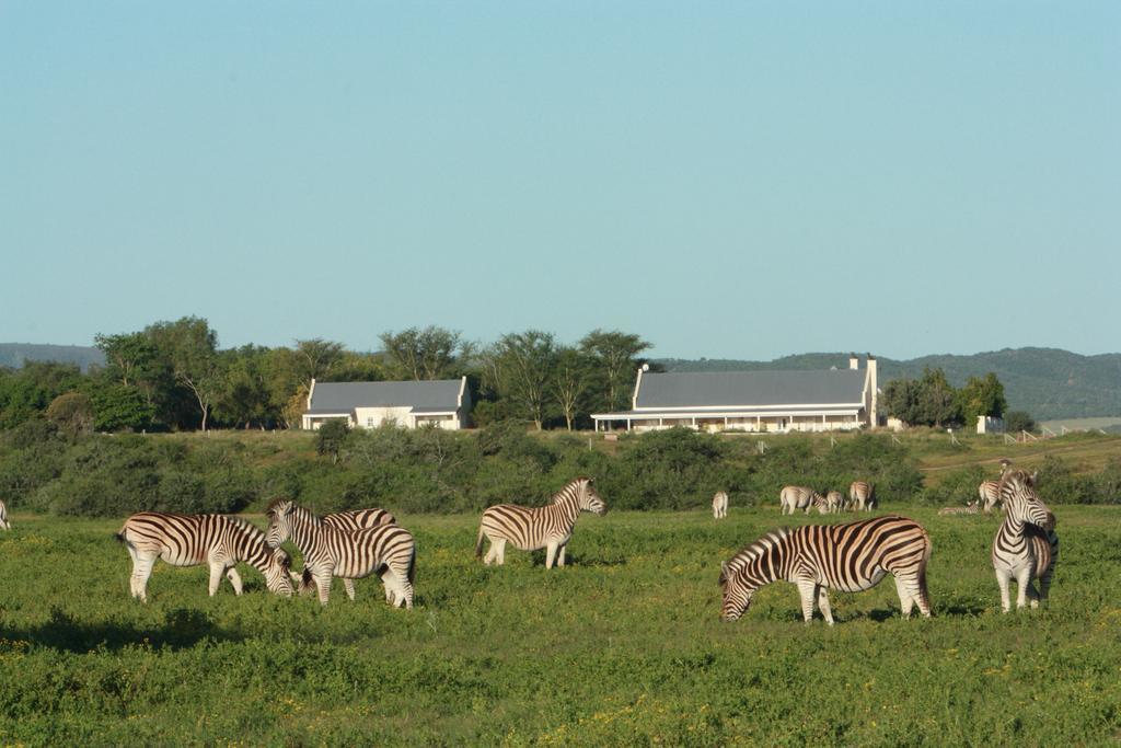 Riverbend Lodge Addo Exterior photo
