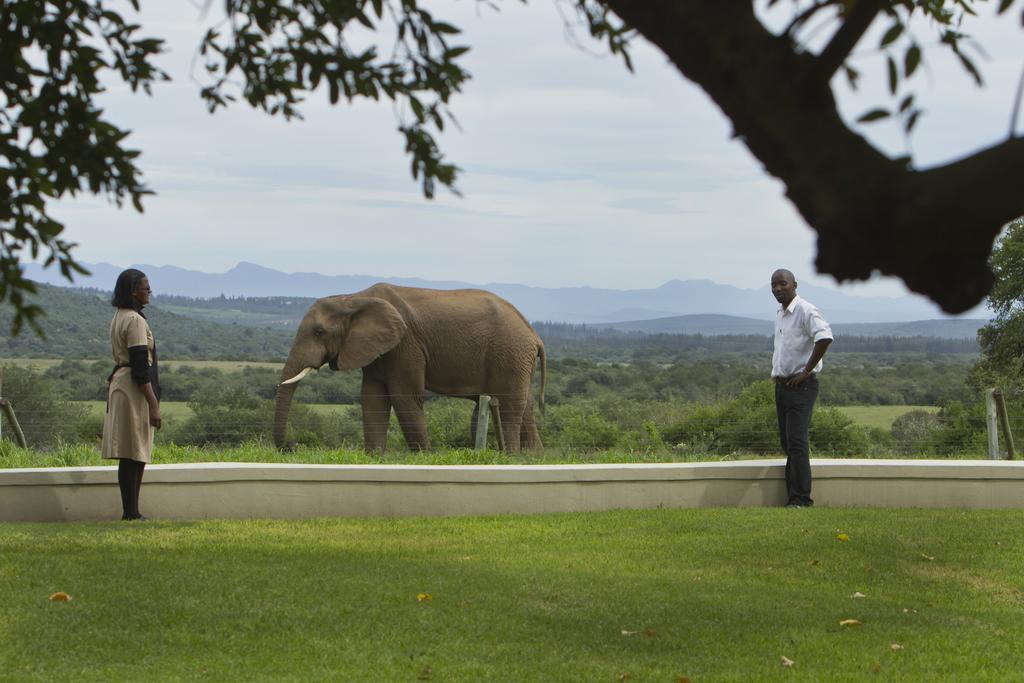 Riverbend Lodge Addo Exterior photo